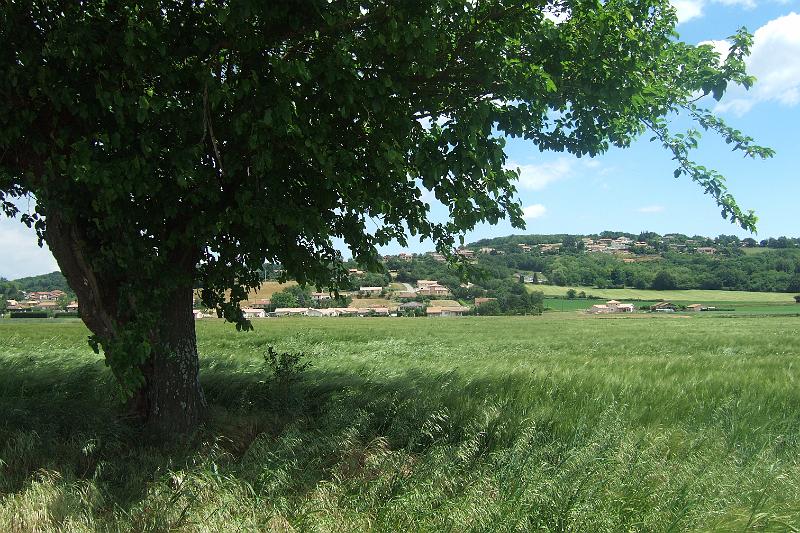 2011-05- (596).JPG